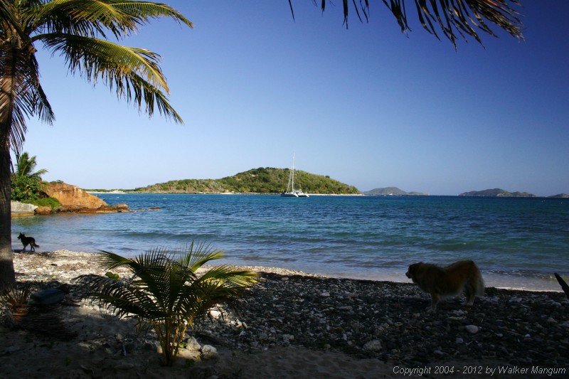 View from beach at Maya Cove, Tortola. Buck Island in center.