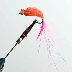 Peach rain redfish special