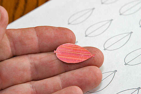 The spoon fly body